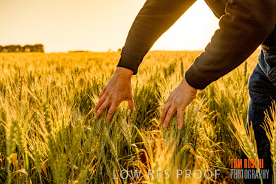 October 2019 / ROSEWORTHY_SA_191018-0384