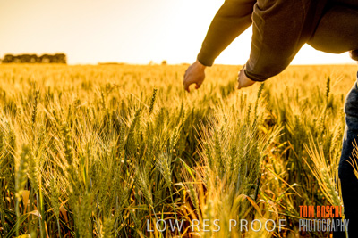 October 2019 / ROSEWORTHY_SA_191018-0387