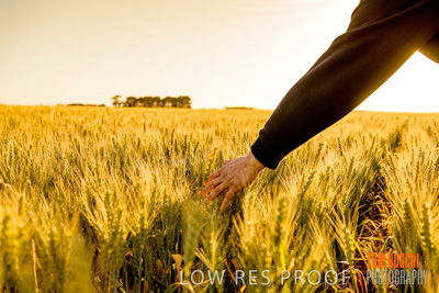 October 2019 / ROSEWORTHY_SA_191018-0389