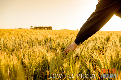 October 2019 / ROSEWORTHY_SA_191018-0390