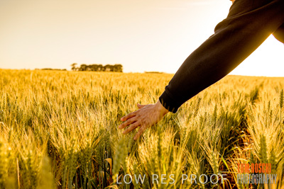 October 2019 / ROSEWORTHY_SA_191018-0395