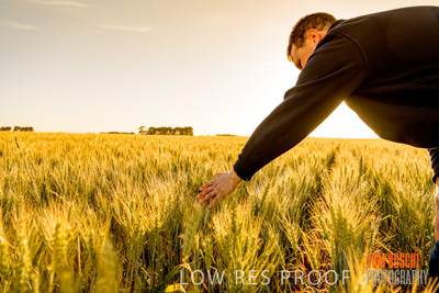 October 2019 / ROSEWORTHY_SA_191018-0397