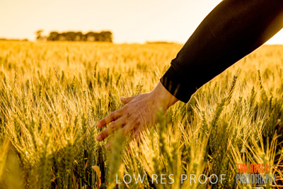 October 2019 / ROSEWORTHY_SA_191018-0400