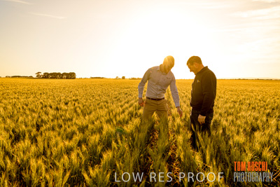 October 2019 / ROSEWORTHY_SA_191018-0407