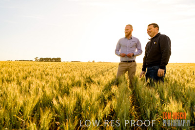 October 2019 / ROSEWORTHY_SA_191018-0422