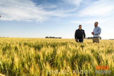 October 2019 / ROSEWORTHY_SA_191018-0449