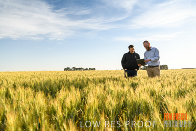 October 2019 / ROSEWORTHY_SA_191018-0451