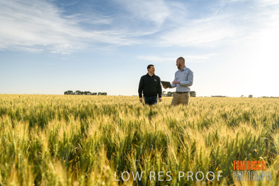 October 2019 / ROSEWORTHY_SA_191018-0453