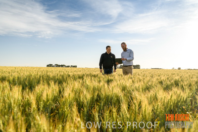 October 2019 / ROSEWORTHY_SA_191018-0454