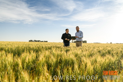 October 2019 / ROSEWORTHY_SA_191018-0455