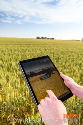 October 2019 / ROSEWORTHY_SA_191018-0522