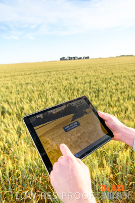 October 2019 / ROSEWORTHY_SA_191018-0524