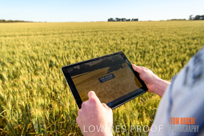 October 2019 / ROSEWORTHY_SA_191018-0525