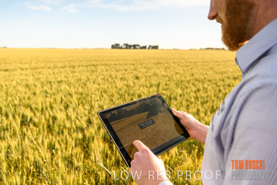 October 2019 / ROSEWORTHY_SA_191018-0527