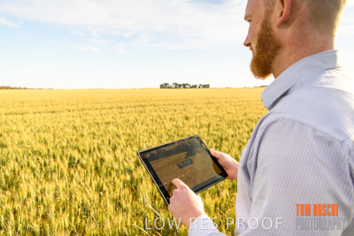 October 2019 / ROSEWORTHY_SA_191018-0529