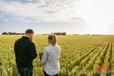 October 2019 / ROSEWORTHY_SA_191018-0556