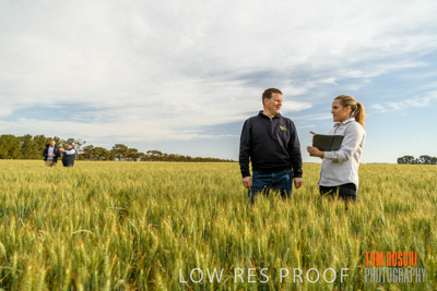 October 2019 / ROSEWORTHY_SA_191018-0638