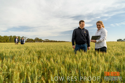 October 2019 / ROSEWORTHY_SA_191018-0639