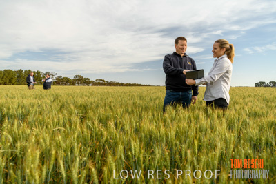 October 2019 / ROSEWORTHY_SA_191018-0643