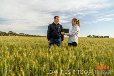 October 2019 / ROSEWORTHY_SA_191018-0647