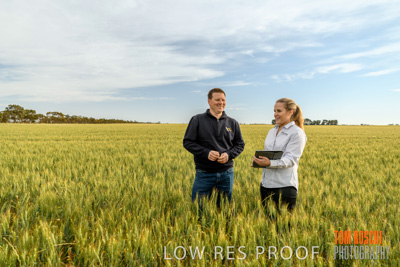 October 2019 / ROSEWORTHY_SA_191018-0653