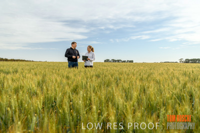 October 2019 / ROSEWORTHY_SA_191018-0659