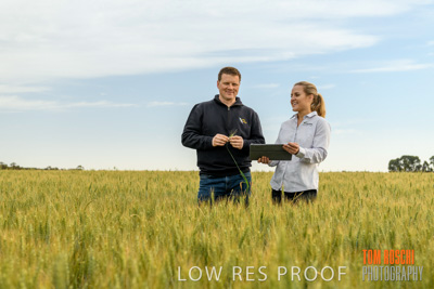 October 2019 / ROSEWORTHY_SA_191018-0674