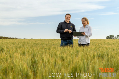 October 2019 / ROSEWORTHY_SA_191018-0679