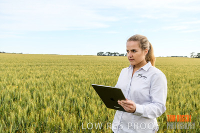 October 2019 / ROSEWORTHY_SA_191018-0695