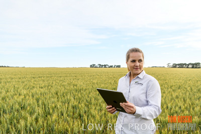 October 2019 / ROSEWORTHY_SA_191018-0698