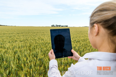 October 2019 / ROSEWORTHY_SA_191018-0700