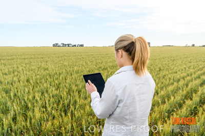 October 2019 / ROSEWORTHY_SA_191018-0702