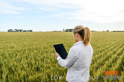 October 2019 / ROSEWORTHY_SA_191018-0704