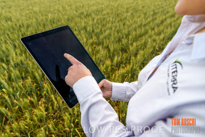 October 2019 / ROSEWORTHY_SA_191018-0713