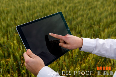 October 2019 / ROSEWORTHY_SA_191018-0717