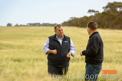 October 2019 / ROSEWORTHY_SA_191018-0723