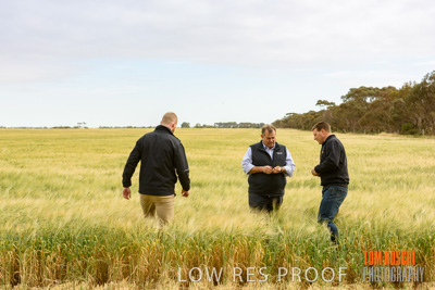 October 2019 / ROSEWORTHY_SA_191018-0726