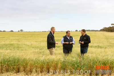 October 2019 / ROSEWORTHY_SA_191018-0727