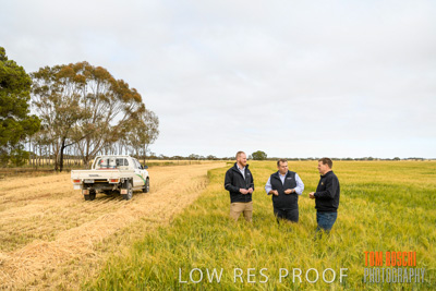 October 2019 / ROSEWORTHY_SA_191018-0745