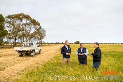 October 2019 / ROSEWORTHY_SA_191018-0746