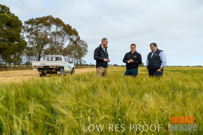 October 2019 / ROSEWORTHY_SA_191018-0755