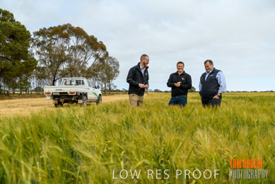 October 2019 / ROSEWORTHY_SA_191018-0756