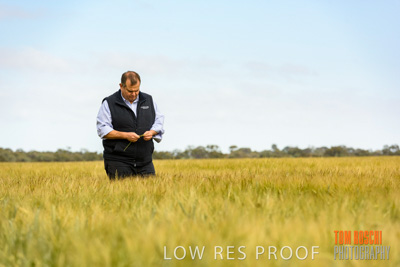 October 2019 / ROSEWORTHY_SA_191018-0795