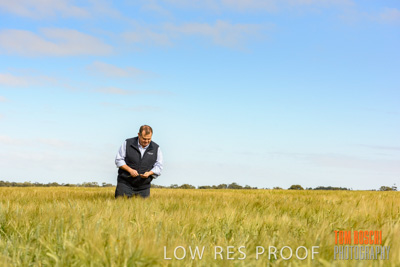 October 2019 / ROSEWORTHY_SA_191018-0825