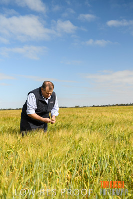 October 2019 / ROSEWORTHY_SA_191018-0841
