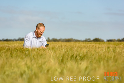 October 2019 / ROSEWORTHY_SA_191018-0858