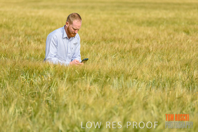 October 2019 / ROSEWORTHY_SA_191018-0873