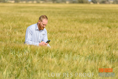 October 2019 / ROSEWORTHY_SA_191018-0874