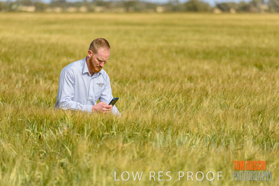 October 2019 / ROSEWORTHY_SA_191018-0875