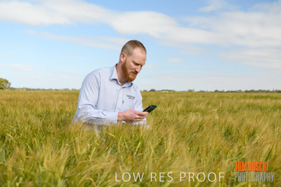 October 2019 / ROSEWORTHY_SA_191018-0882